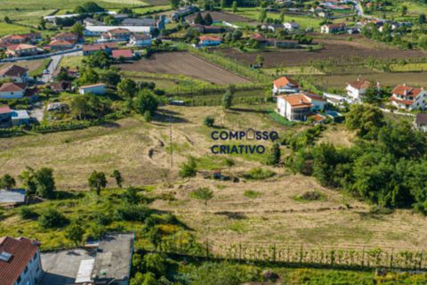 Terra a Longos, Braga, Longos - € 700.000 | Ref: 230120251 - foto 11